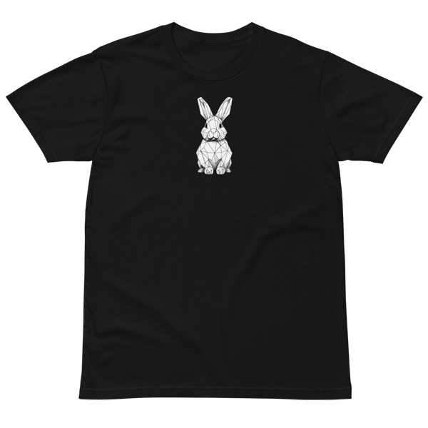 Follow the White Rabbit