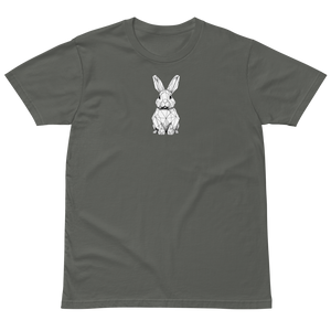 Follow the White Rabbit