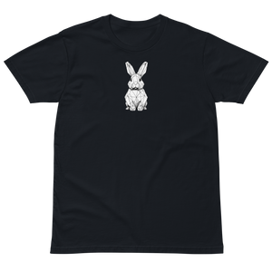 Follow the White Rabbit